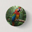 Search for macaws badges Wildlife