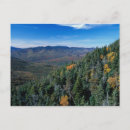 Search for new forest postcards Tree