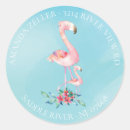 Search for cute flamingo stickers Modern