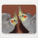 Search for cockatiels mousepads Pet