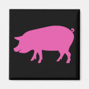 Search for swine magnets Pink