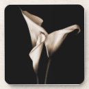Search for isolated coasters Floral