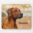 Search for ridgeback electronics Pet
