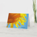 Search for ocassions cards Photography