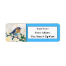 Search for bluebird return address labels Nature