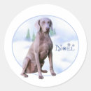 Search for weimaraner stickers Dog