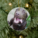 Search for labrador christmas tree decorations Funny
