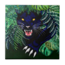 Search for black panther coasters Feline