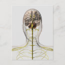 Search for nervous system postcards Digitally generated image