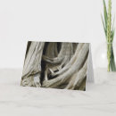 Search for ancient horizontal cards Leaves