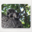Search for squirrel in a tree mousepads Trees