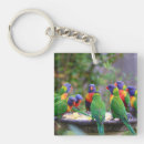 Search for lorikeet key rings Birds