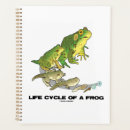 Search for frogs office supplies Frog lover