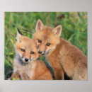 Search for nom posters Cute