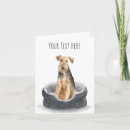 Search for welsh terrier cards Dog
