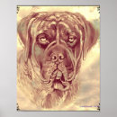 Search for carol posters Pets