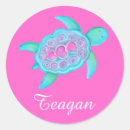 Search for turtle shell stickers Kids
