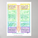 Search for spine art posters Vertebrae