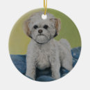 Search for shih tzu puppy christmas tree decorations Canine