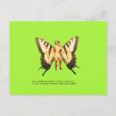 Search for butterfly dreams postcards Woman