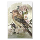 Search for scottish wildlife art Nature