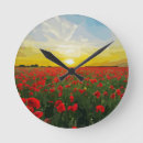 Search for poppy clocks Field of flowers