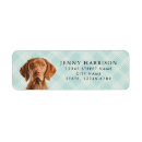 Search for vizsla return address labels Cute
