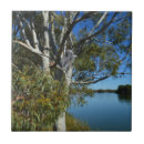 Search for gum tiles Australia