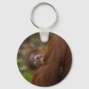 Search for borneo key rings Ape