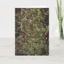 Search for food christmas cards Winter