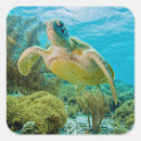 Search for underwater photography stickers Sea