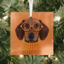 Search for sweaters and christmas tree decorations Dachshund