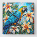 Search for parrot clocks Australia