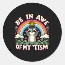 Search for racoon stickers Acceptance