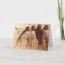 Search for barn swallow cards Wildlife