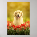 Search for cute puppy posters Smile