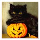 Search for jackolantern posters Spooky