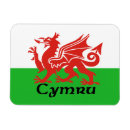 Search for draig Celtic