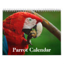 Search for parrot calendars 2026