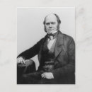 Search for darwin evolution postcards Scientist