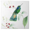 Search for hummingbird tiles Birds