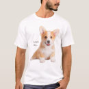 Search for corgi dad Mom