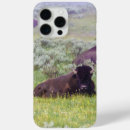 Search for bison iphone cases Montana