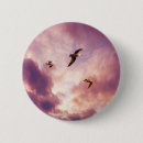 Search for gull badges Nature