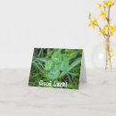 Search for 4 leaf clover cards Four