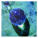 Search for water droplets tiles Nature