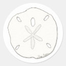 Search for sand dollar stickers Coast