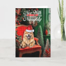 Search for chow chow christmas cards Pets
