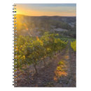Search for adelaide Adelaide hills