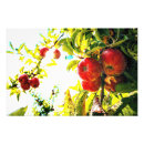 Search for lush green posters Vibrant
